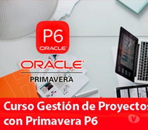 Curso Técnicas de Gestión de Proyectos con Primavera P6