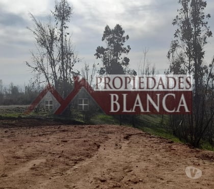 Terrenos-Parcelas Quilpué Valparaíso - Fotos de PARCELA CON ROL PROPIO LINDA VISTA
