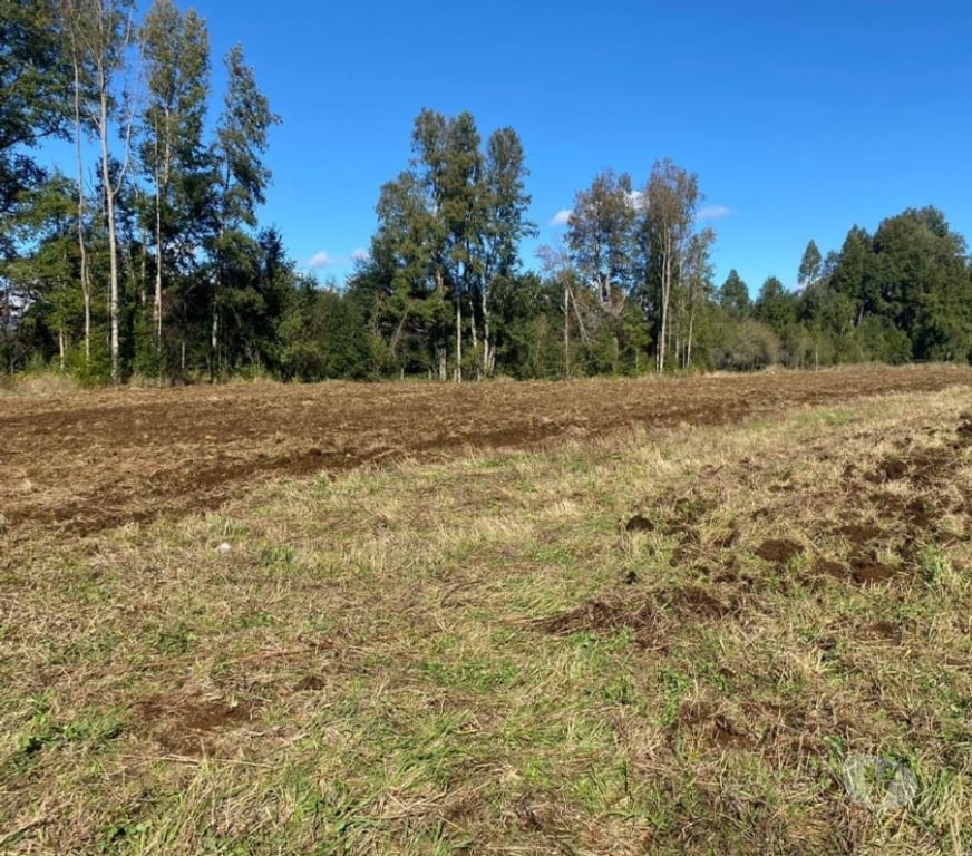 Parcelas en Venta Cautín Villarrica - Fotos de Parcela camino a Pucón, sector con alta plusvalía