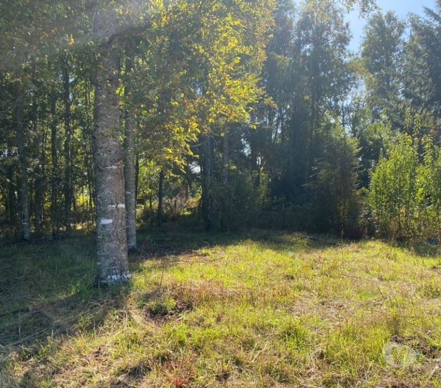 Parcelas en Venta Cautín Villarrica - Fotos de Parcela camino a Pucón, sector con alta plusvalía