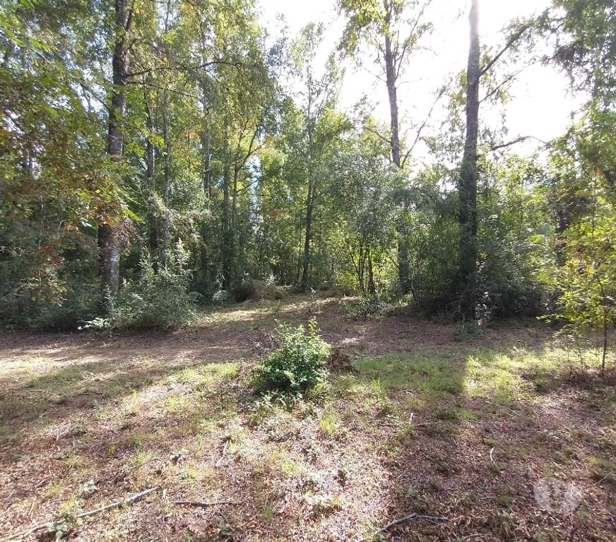 Parcelas en Venta Cautín Villarrica - Fotos de Parcela a 2 kilómetros de Playa Linda