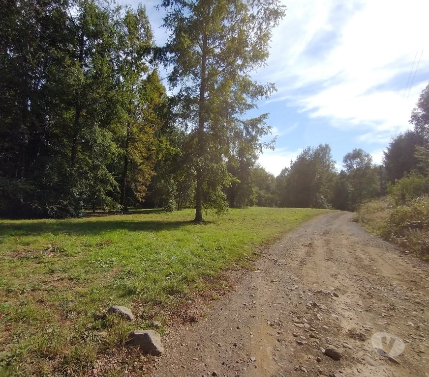 Parcelas en Venta Cautín Villarrica - Fotos de Parcela a 2 kilómetros de Playa Linda
