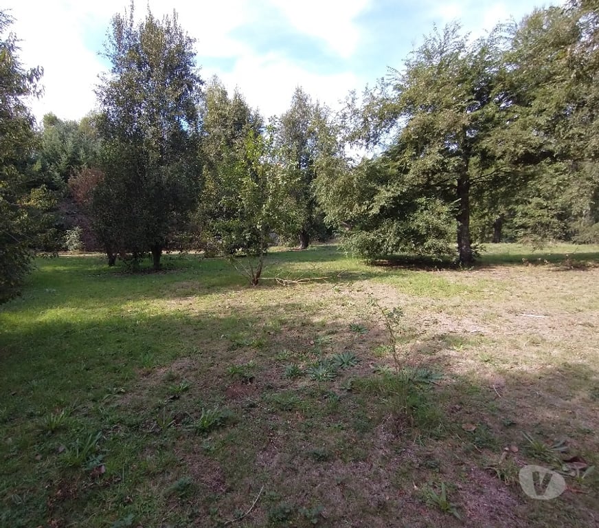 Parcelas en Venta Cautín Villarrica - Fotos de Parcela a 2 kilómetros de Playa Linda
