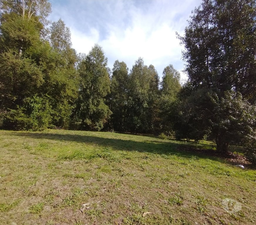 Parcelas en Venta Cautín Villarrica - Fotos de Parcela a 2 kilómetros de Playa Linda