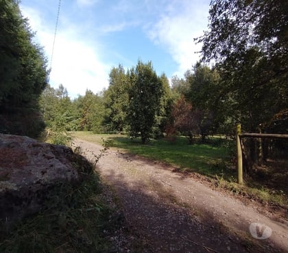 Parcelas en Venta Villarrica Cautín - Fotos de Parcela a 2 kilómetros de Playa Linda