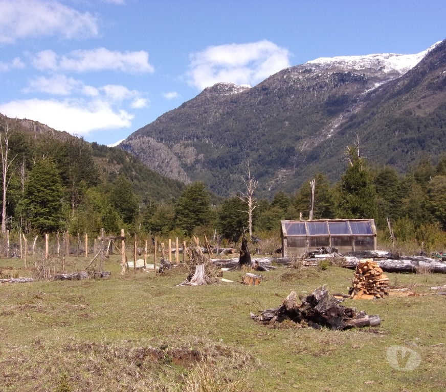 Venta de Haciendas Palena Palena - Fotos de Campo 40 hs en el sector El Tranquilo