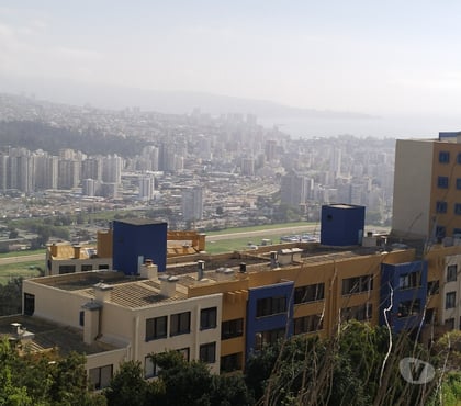 Arriendos temporada Viña del Mar Valparaíso - Fotos de Arriendo departamento por día en Miraflores viña del mar