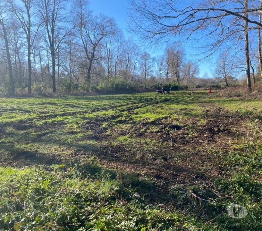 Parcelas en Venta Cautín Villarrica - Fotos de Hermosa parcela a diez minutos de la ciudad de Villarrica