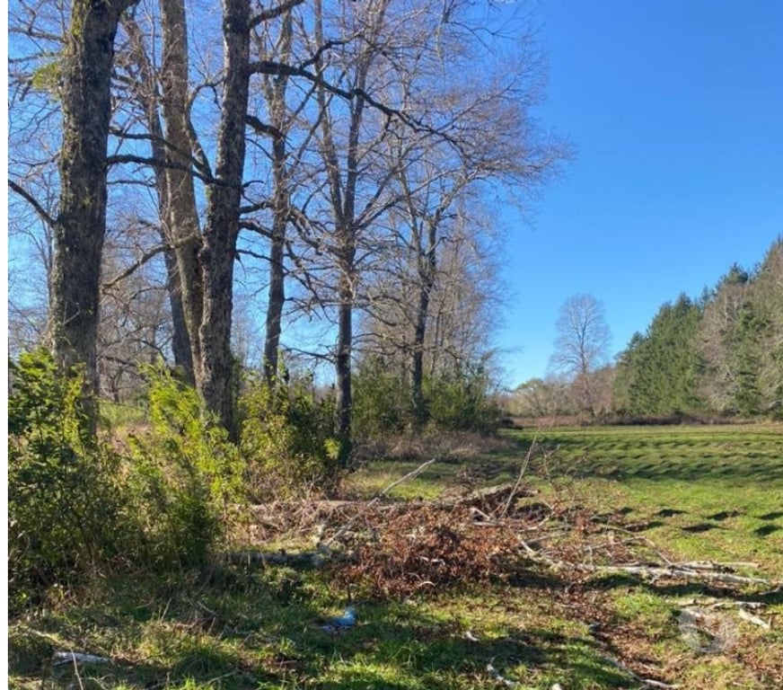 Parcelas en Venta Cautín Villarrica - Fotos de Hermosa parcela a diez minutos de la ciudad de Villarrica