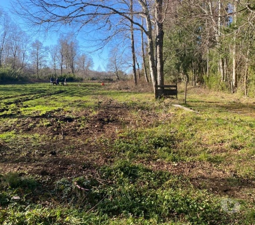 Parcelas en Venta Cautín Villarrica - Fotos de Hermosa parcela a diez minutos de la ciudad de Villarrica
