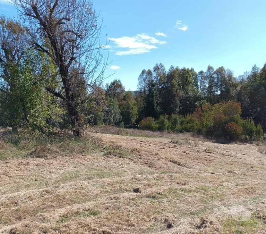Parcelas en Venta Cautín Villarrica - Fotos de Hermosa parcela con Calidad Indígena