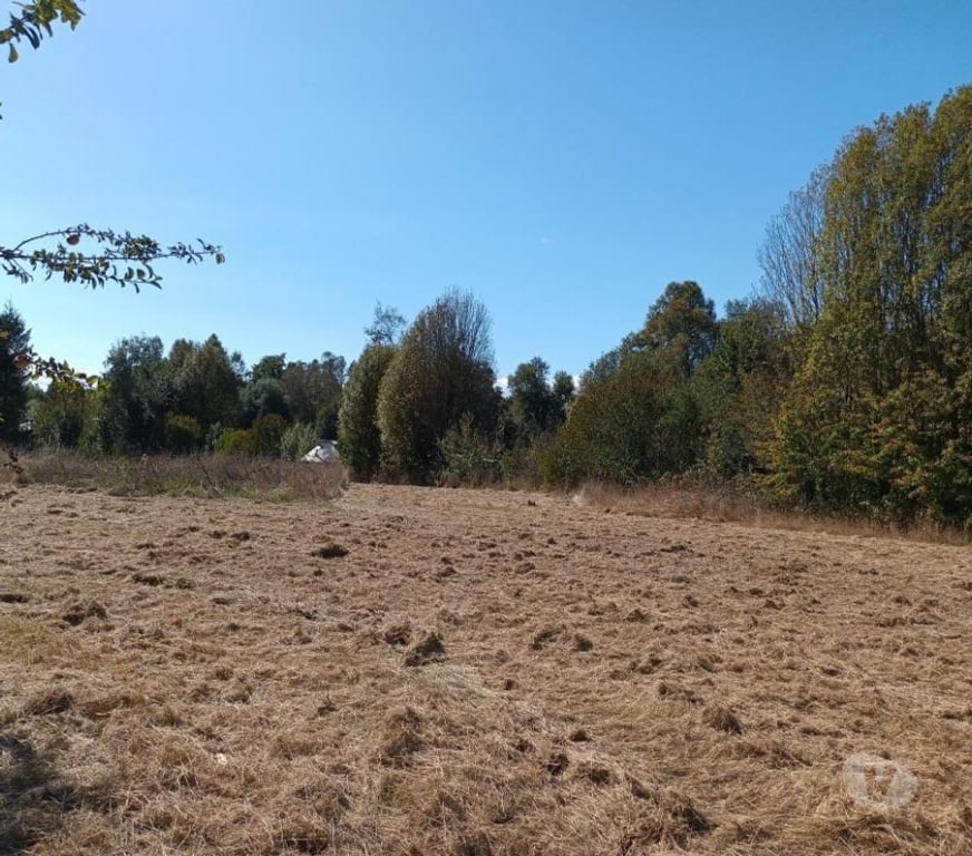 Parcelas en Venta Cautín Villarrica - Fotos de Hermosa parcela con Calidad Indígena
