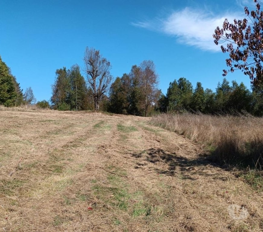 Parcelas en Venta Cautín Villarrica - Fotos de Hermosa parcela con Calidad Indígena