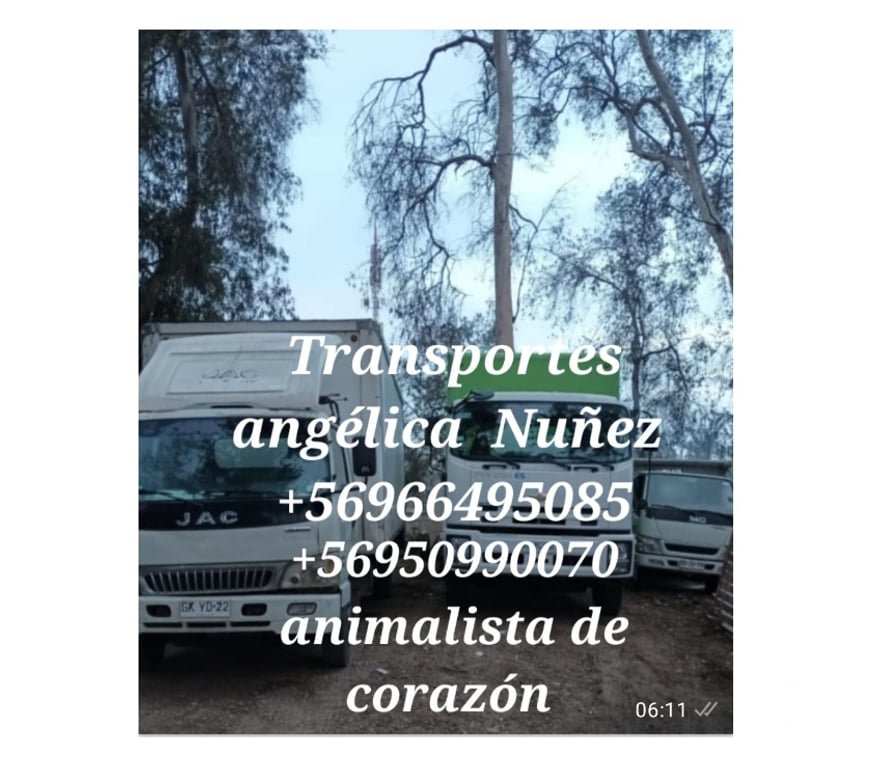 Fletes y Mudanzas - Transportes Santiago Ñuñoa - Fotos de Fletes mudanzas ñuñoa retiro escombros PH.+56987876350