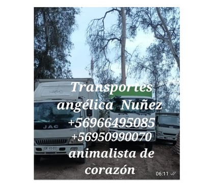 Fletes y Mudanzas - Transportes Ñuñoa Santiago - Fotos de Fletes mudanzas ñuñoa retiro escombros PH.+56987876350