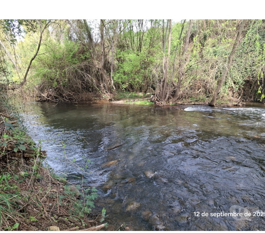 Parcelas en Venta Ñuble Coihueco - Fotos de EN VENTA APRCELA EN SECTOR LAS PATAGUAS, COIHUECO