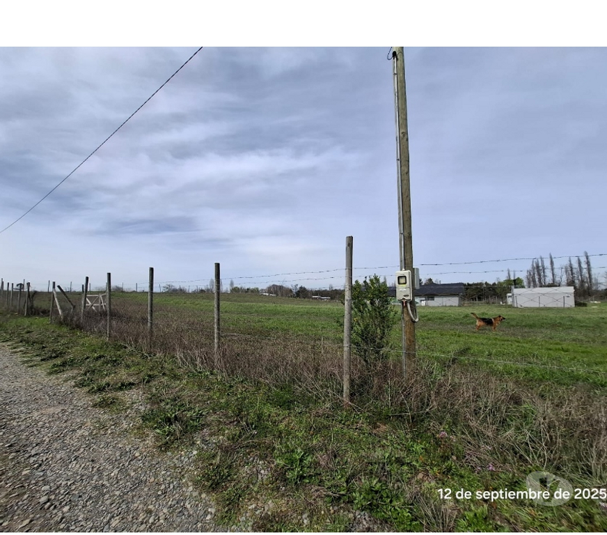 Parcelas en Venta Ñuble Coihueco - Fotos de EN VENTA APRCELA EN SECTOR LAS PATAGUAS, COIHUECO