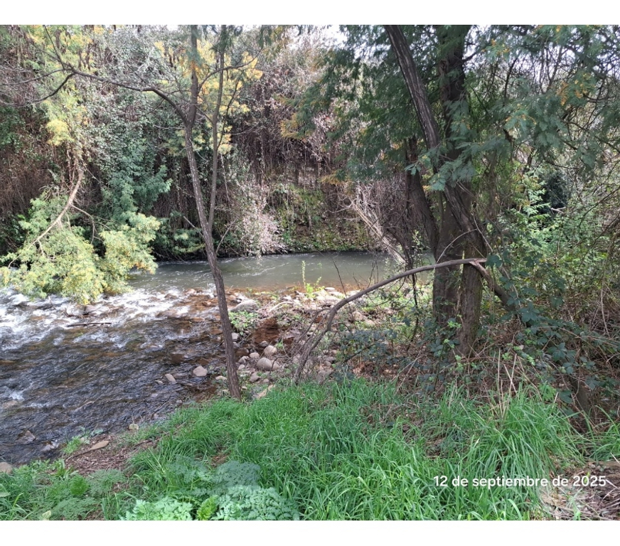 Parcelas en Venta Ñuble Coihueco - Fotos de EN VENTA APRCELA EN SECTOR LAS PATAGUAS, COIHUECO