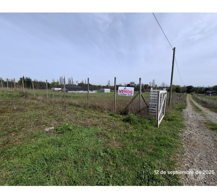 Parcelas en Venta Ñuble Coihueco - Fotos de EN VENTA APRCELA EN SECTOR LAS PATAGUAS, COIHUECO