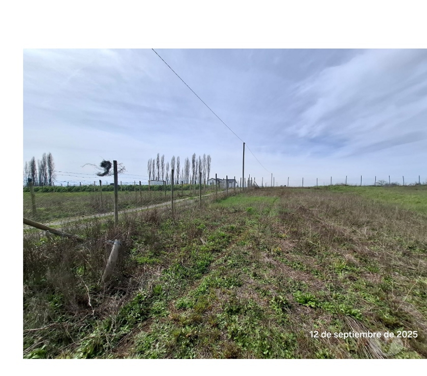Parcelas en Venta Ñuble Coihueco - Fotos de EN VENTA APRCELA EN SECTOR LAS PATAGUAS, COIHUECO