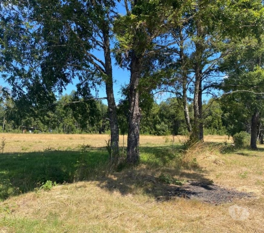 Parcelas en Venta Cautín Villarrica - Fotos de Hermosa parcela a 10 minutos de Villarrica