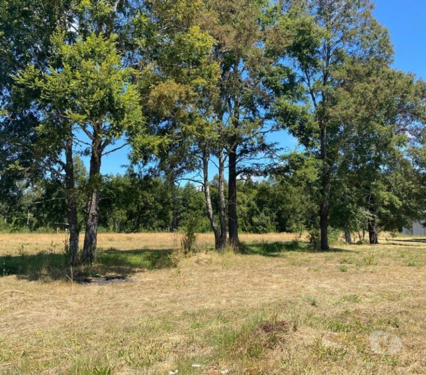 Parcelas en Venta Cautín Villarrica - Fotos de Hermosa parcela a 10 minutos de Villarrica