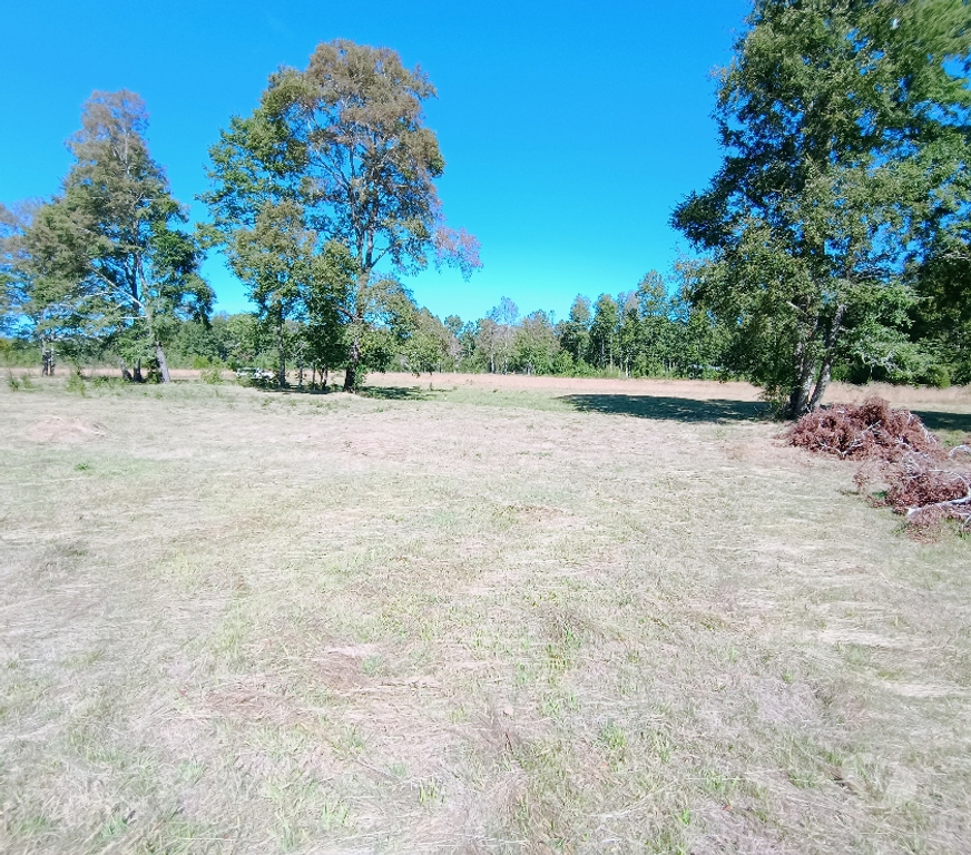 Parcelas en Venta Cautín Villarrica - Fotos de Hermosa parcela a 10 minutos de Villarrica