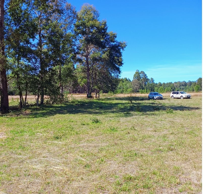 Parcelas en Venta Cautín Villarrica - Fotos de Hermosa parcela a 10 minutos de Villarrica