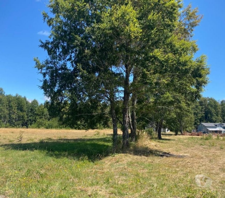 Parcelas en Venta Cautín Villarrica - Fotos de Hermosa parcela a 10 minutos de Villarrica