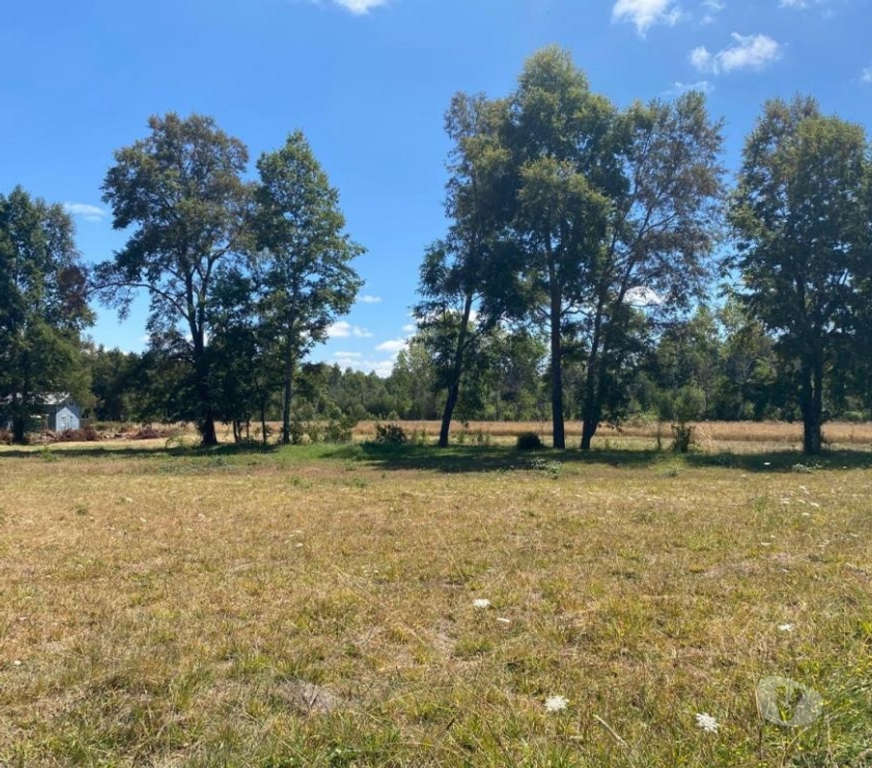 Parcelas en Venta Cautín Villarrica - Fotos de Hermosa parcela a 10 minutos de Villarrica