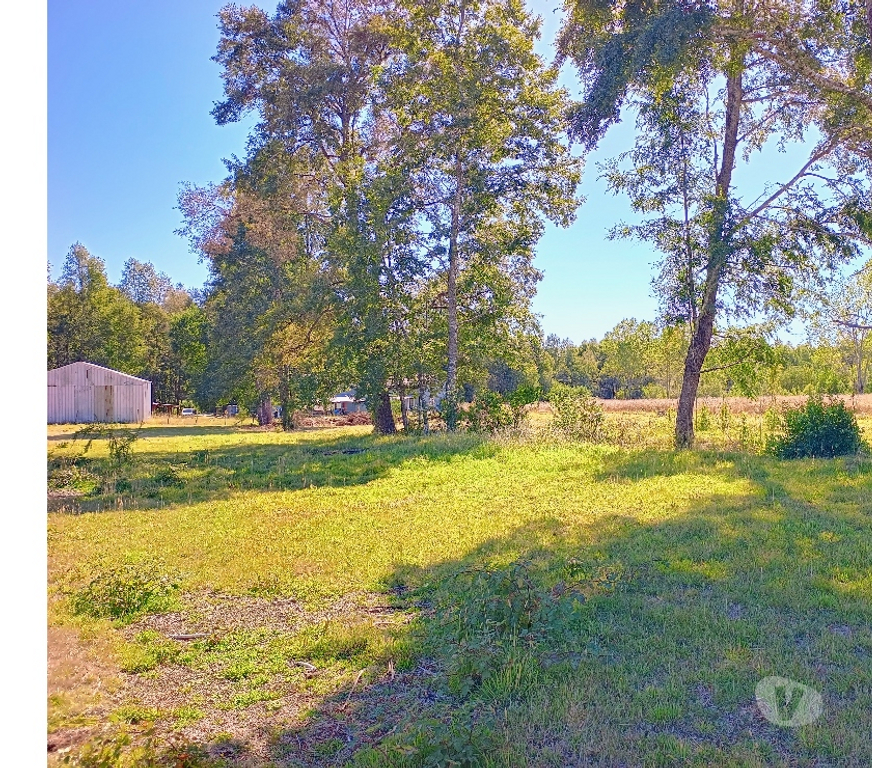 Parcelas en Venta Cautín Villarrica - Fotos de Hermosa parcela a 10 minutos de Villarrica