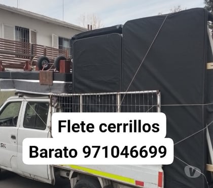 Fletes y Mudanzas - Transportes Cerrillos Santiago - Fotos de Fletes en cerrillos baratos