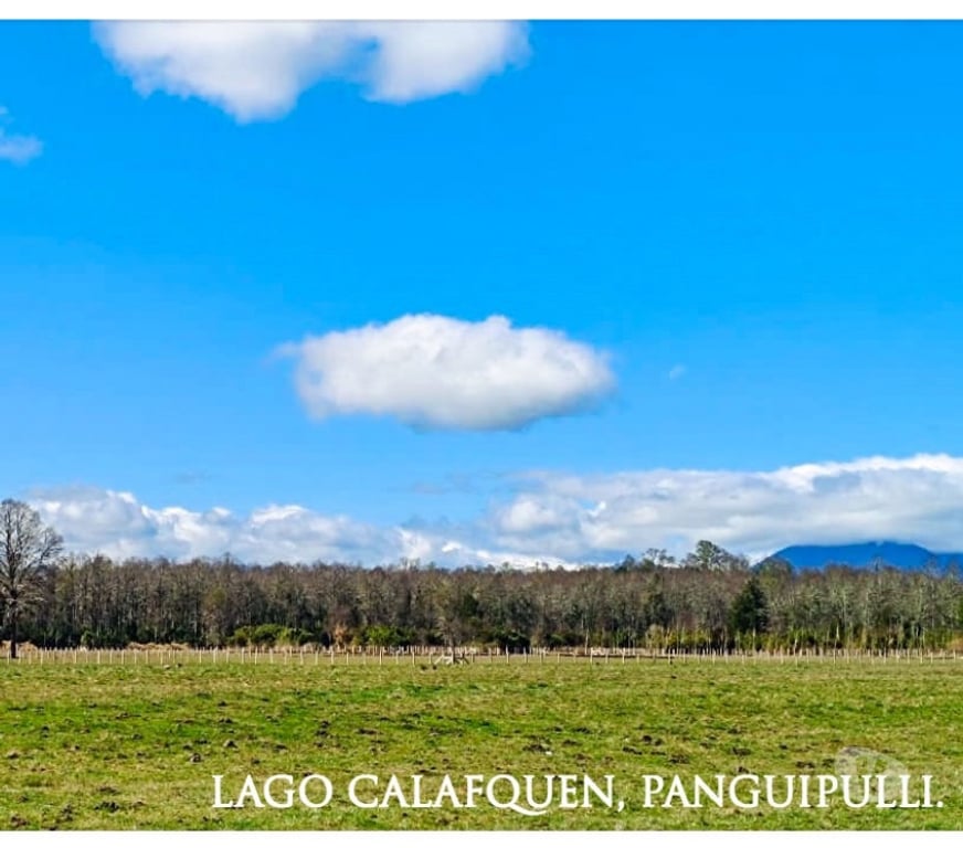 Parcelas en Venta Cautín Pucón - Fotos de En Venta Parcelas en Panguipulli con Credito Directo
