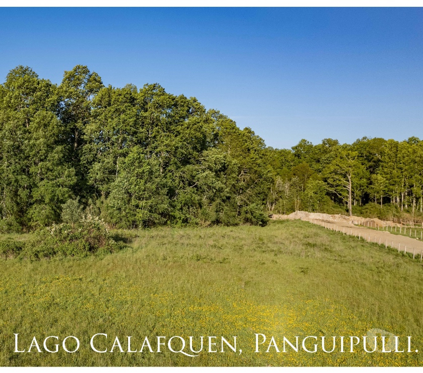 Proyectos inmobiliarios Cautín Pucón - Fotos de Se Venden Terrenos con Credito Directo en Panguipulli