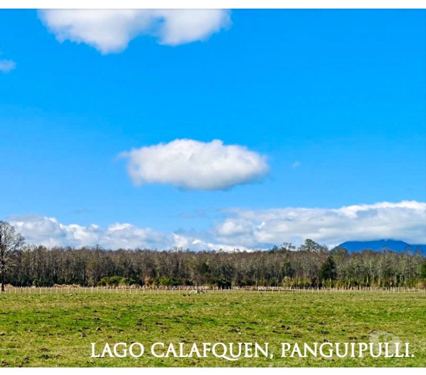Proyectos inmobiliarios Cautín Pucón - Fotos de Se Venden Terrenos con Credito Directo en Panguipulli