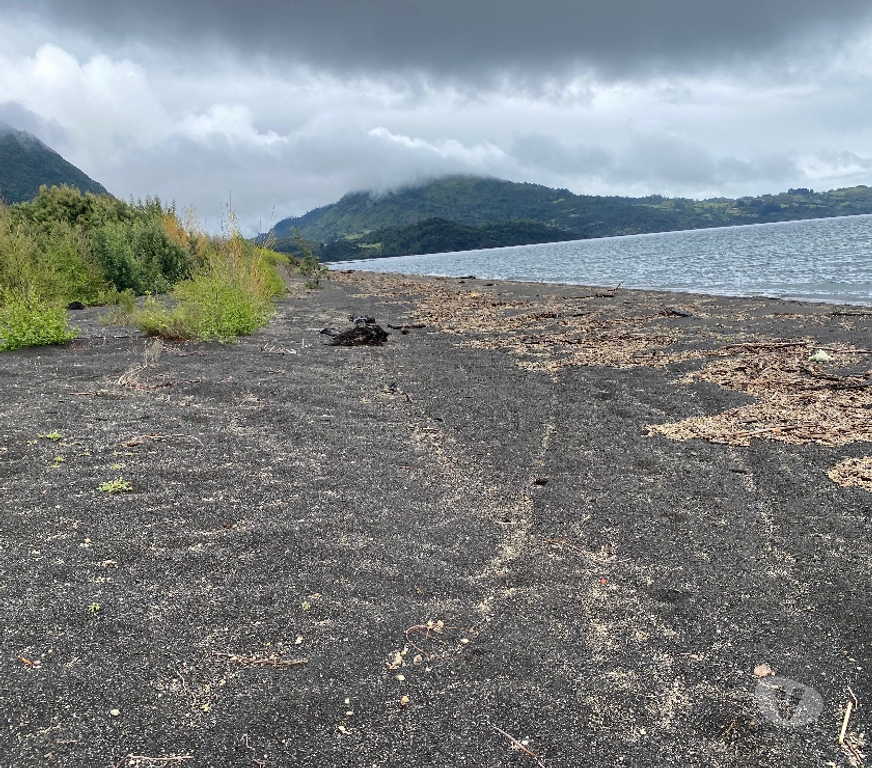 Venta de Haciendas Ranco Lago Ranco - Fotos de Campo con orilla de lago