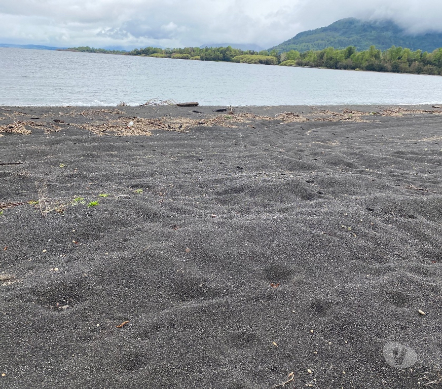 Venta de Haciendas Ranco Lago Ranco - Fotos de Campo con orilla de lago