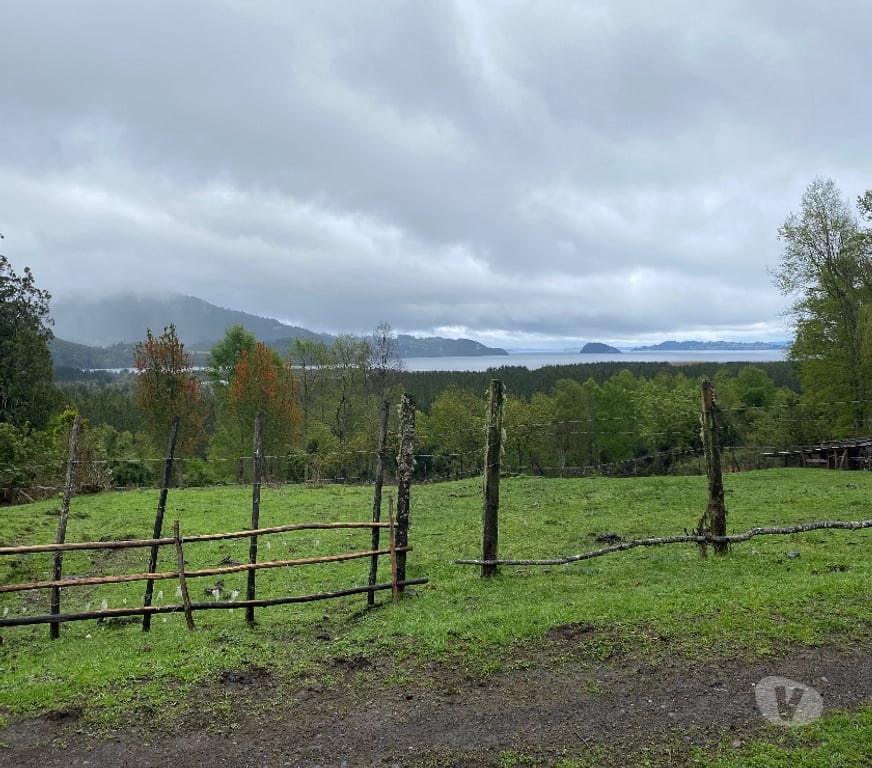 Venta de Haciendas Ranco Lago Ranco - Fotos de Campo con orilla de lago