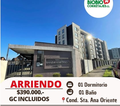  Casas y departamentos en arriendo Los Ángeles Bío-Bío - Fotos de ARRIENDO DEPTO EN CONDOMINIO SANTA ANA ORIENTE