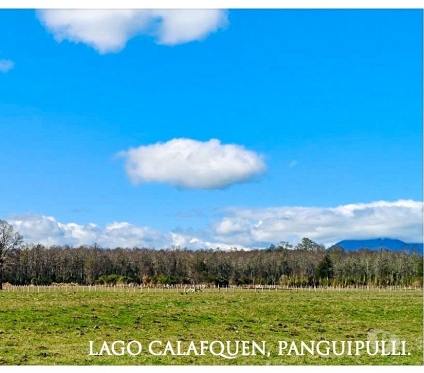 Parcelas en Venta Valdivia Panguipulli - Fotos de Parcelas Panguipulli Calafquén planas con Crédito Directo