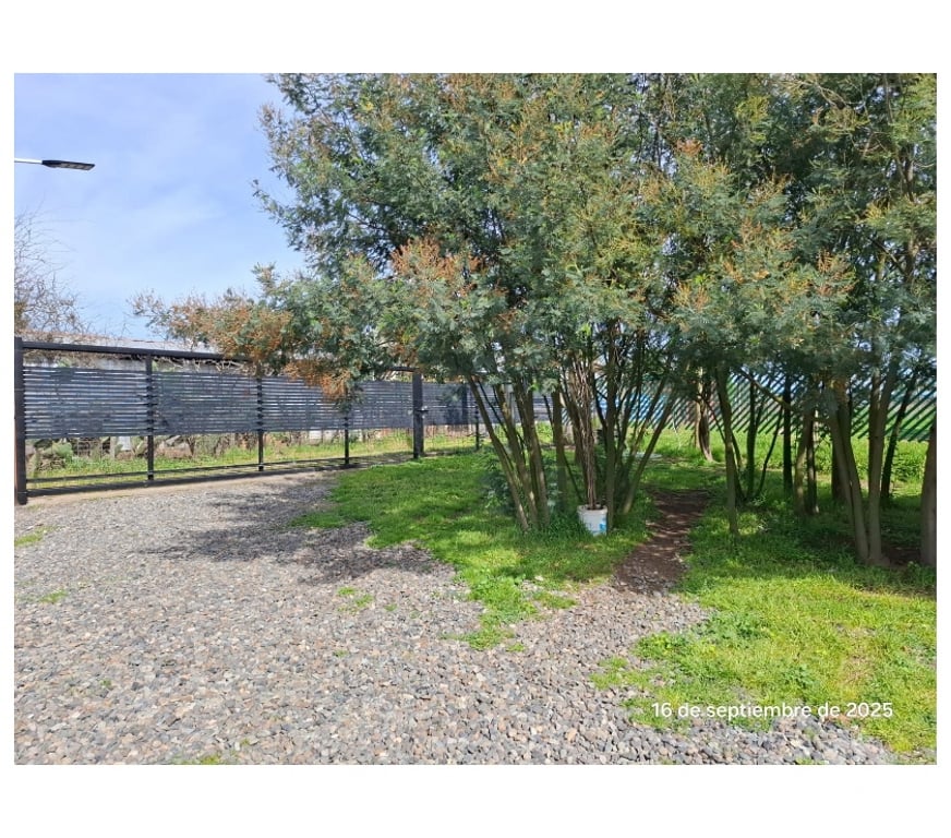 Bienes Raices Ñuble Chillán - Fotos de EN VENTA HERMOSA CASA EN SECTOR PINTU-CAMINO PORTEZUELO