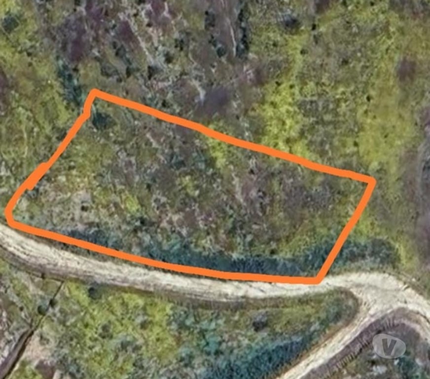 Parcelas en Venta Cardenal Caro Litueche - Fotos de Parcela 5000mts2 Litueche