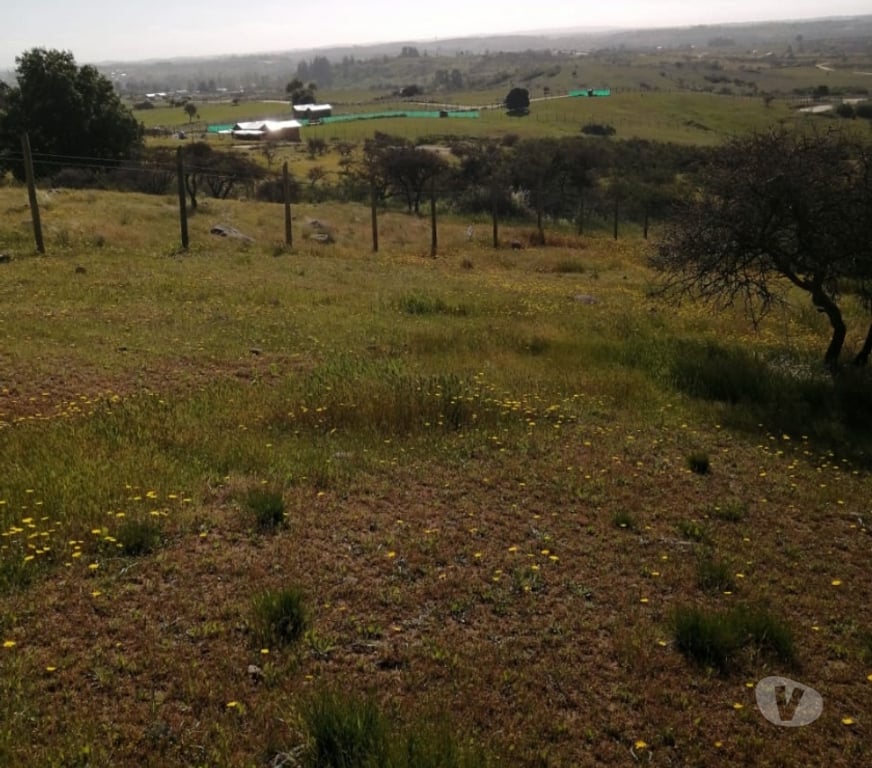 Parcelas en Venta Cardenal Caro Litueche - Fotos de Parcela 5000mts2 Litueche