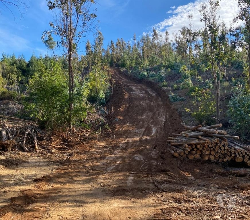 Venta de Haciendas Concepción Florida - Fotos de Terreno 15 hectáreas Florida