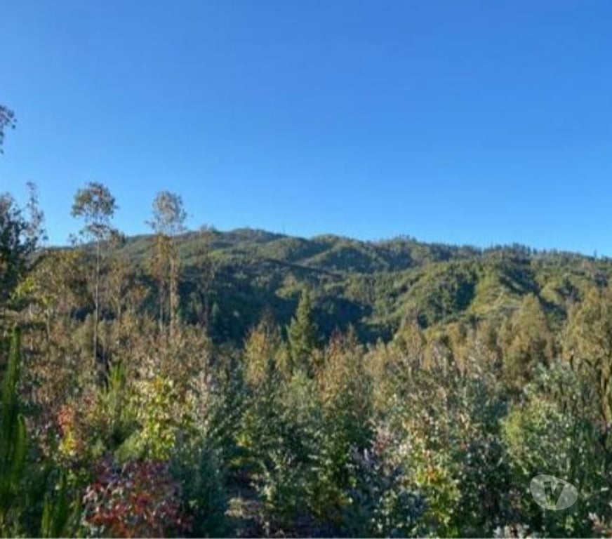 Venta de Haciendas Concepción Florida - Fotos de Terreno 15 hectáreas Florida
