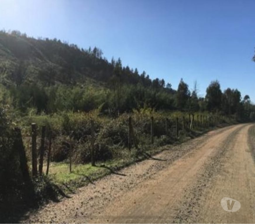 Venta de Haciendas Concepción Florida - Fotos de Terreno 15 hectáreas Florida