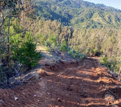 Fundos en Venta Florida Concepción - Fotos de Terreno 15 hectáreas Florida