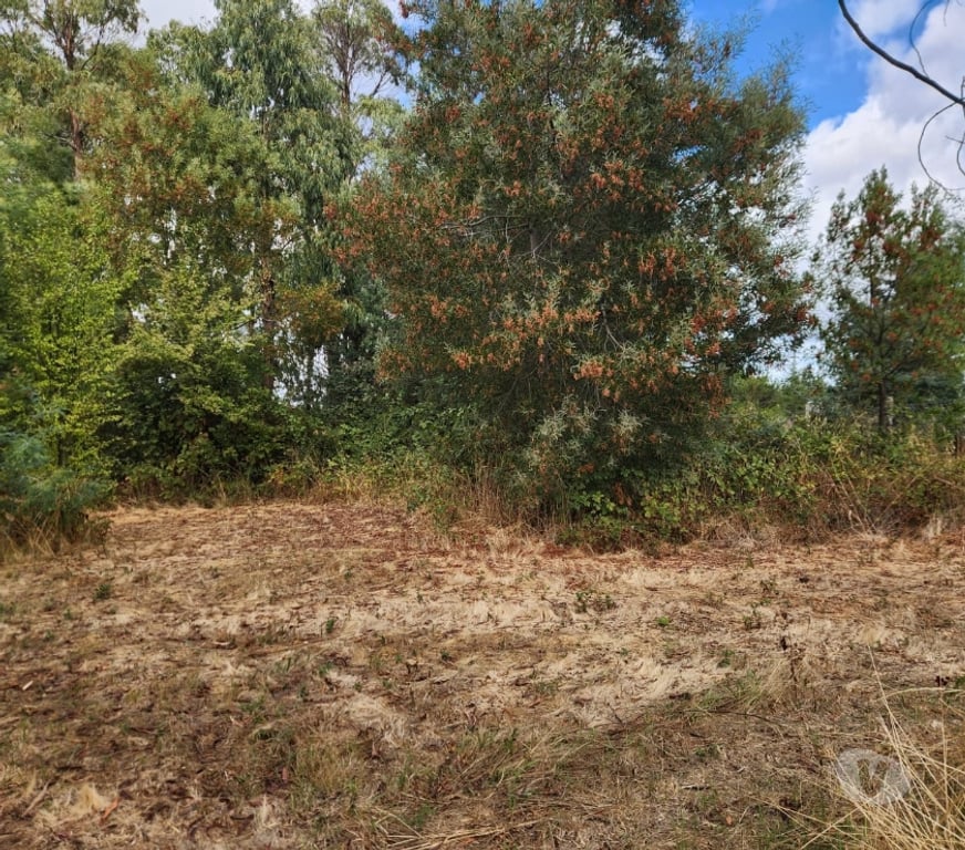 Parcelas en Venta Bío-Bío Los Ángeles - Fotos de Vendo Terreno en Los Angeles