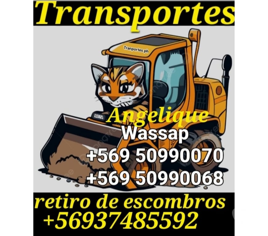 Fletes y Mudanzas - Transportes Santiago Recoleta - Fotos de Retiro escombros recoleta conchali áridos + 6937485592