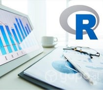 ASESORÍA CONSULTORÍA EN EL ÁREA ESTADÍSTICA (P.U.C).